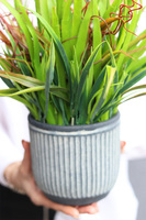 Zielona Trawa, kompozycja ze sztucznych traw