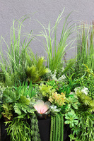 Fiberglass Black Suculentas, podłogowa dekoracja z trawami