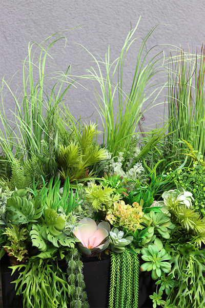 Fiberglass Black Suculentas, podłogowa dekoracja z trawami