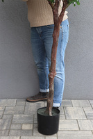 Drzewko Oliwne, sztuczna roślina w doniczce