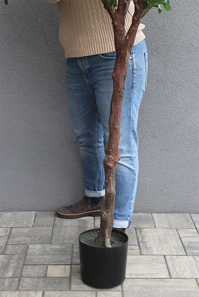 Drzewko Oliwne, sztuczna roślina w doniczce