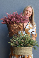 Wrzosowisko Fiolet, kompozycja kwiatowa w donicy