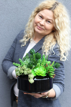 Suculentis Gaina, zielona kompozycja z sukulentami, wym.26x23cm