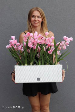 OD RĘKI Samanta Pink Cymbydium, wysokiej jakości sztuczny storczyk, wys.60cm 