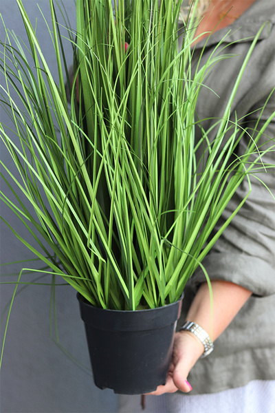 Lediana, sztuczna trawa kwitnąca w doniczce