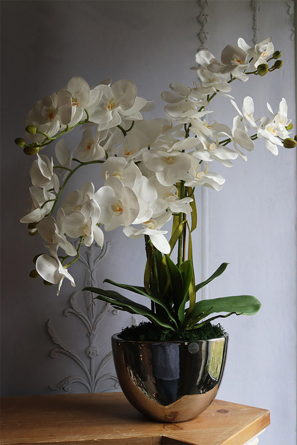 sztuczny storczyk Cinderella Mirror w srebrnej donicy, wys.63cm