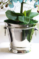 Blue Venice, turkusowy sztuczny storczyk w coolerze