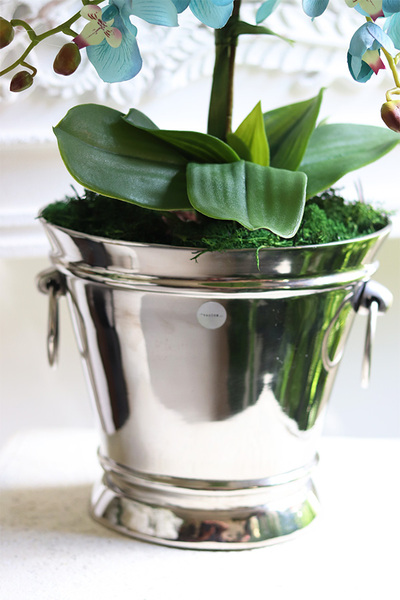 Blue Venice, turkusowy sztuczny storczyk w coolerze