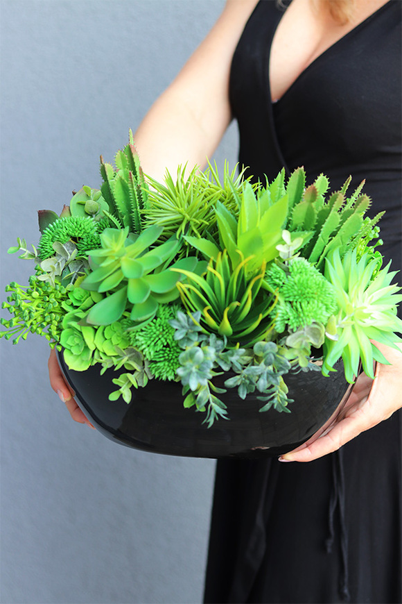 Black Grefia, kompozycja sukulenty w donicy, wym.27x31cm