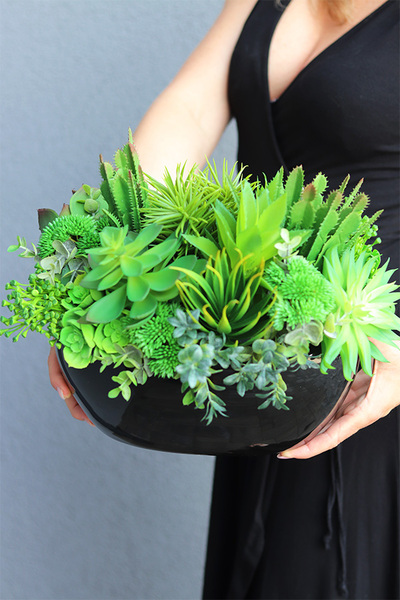 Black Grefia, kompozycja sukulenty w donicy, wym.27x31cm