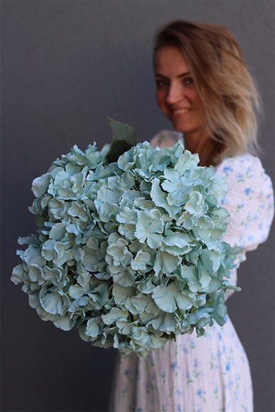 kosz z niebieskimi hortensjami, Delicato 2