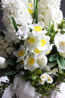 Hianimo, kosz z białymi hiacyntami