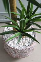 Monsterro Jukka, sztuczna roślina w donicy clayfibre, wys.163cm