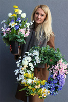 wieniec nagrobny, Flisatti