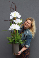 Amarylia Big, dekoracja kwiatowa z amarylisem, wys.110cm 