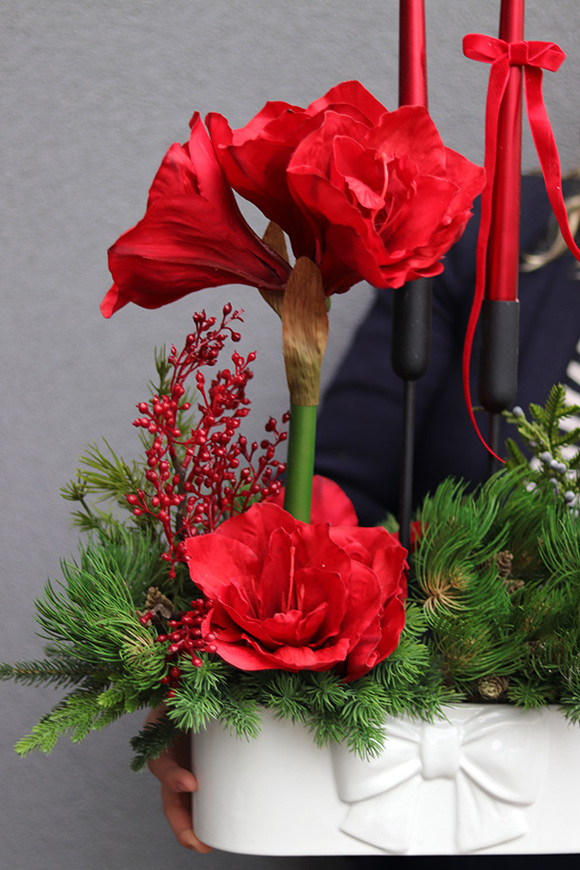Amarylis Kokarda Denerra, świąteczna kompozycja z czerwonymi kwiatami