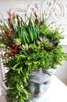 Driada, kompozycja sukulenty w głowie