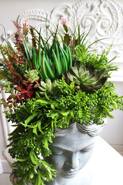 Driada, kompozycja sukulenty w głowie