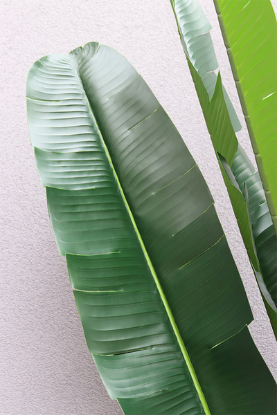 Bananowiec, sztuczne drzewko w osłonce donicy