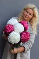 Chryzantemy Duo, bukiet do wazonu