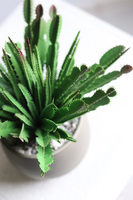 Frey, kaktus sztuczna roślina w doniczce na nóżkach