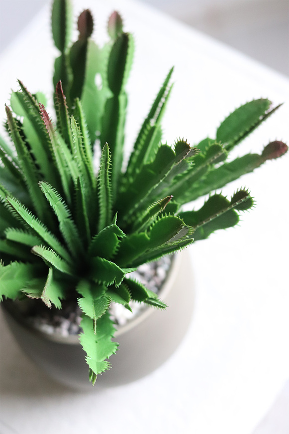 Frey, kaktus sztuczna roślina w doniczce na nóżkach