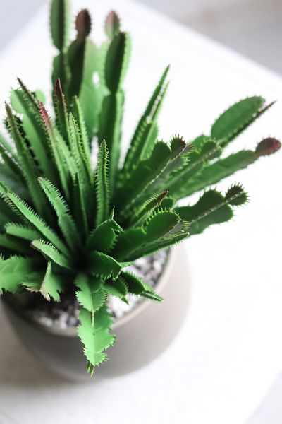 Frey, kaktus sztuczna roślina w doniczce na nóżkach