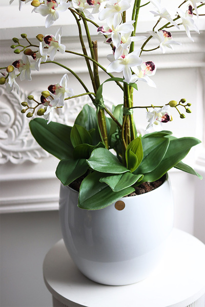 Tajlandia Simple, sztuczny storczyk tajski