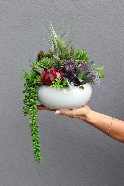 Green Suculerra, kompozycja sukulenty w okrągłej donicy, wym.32x36cm