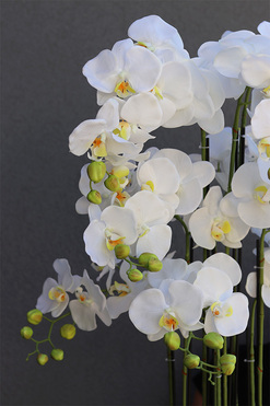 Andaluzja A storczyk sztuczny - wkład do donicy, wys.120cm