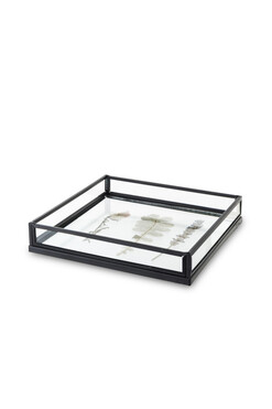 Botanika A, taca ze szklanym blatem, wym.3x16x16cm