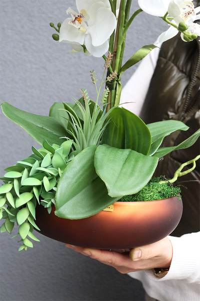 Kleneta Copper, storczyk & sukulenty w czarnej misie