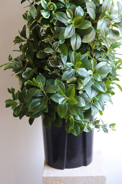 New Green Saute, drzewko sztuczne kolumnowe we wkładzie