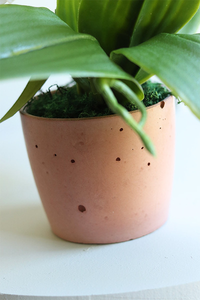 Mini Colors Concrete, gumowy storczyk w różowej donicy