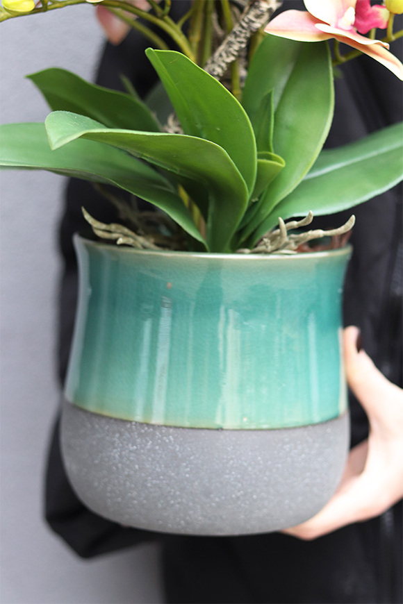 Fretre Blumelia, gumowy sztuczny storczyk