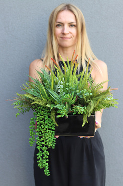 Green Design B, kompozycja sukulenty w czarnej donicy, wym.34x40x30cm