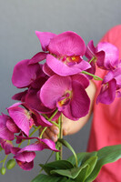 Fuksja Ontario, sztuczny storczyk w donicy