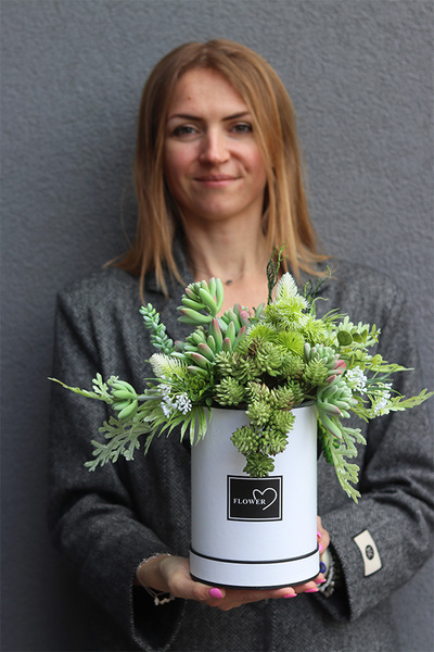 Arizona 2, flowerbox z sukulentami