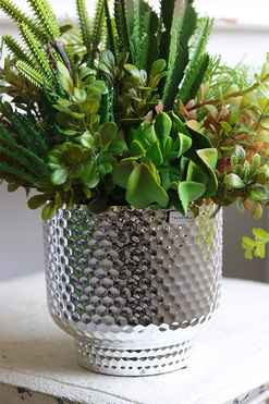 Regulina Cacti, sukulenty w lustrzanej donicy, wys.28cm