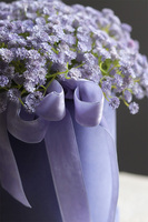 Kaszka Liliowa, flowerbox kwiatowy welurowy, gipsówka