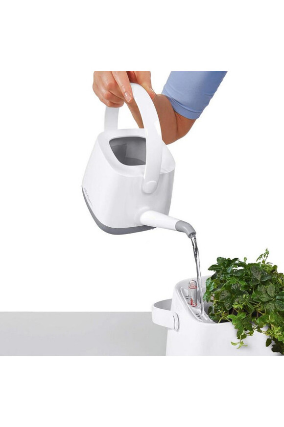 Yula, konewka do podlewania, koral