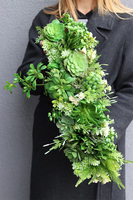 Suculentas Longia 2, kompozycja sukulenty w długiej donicy