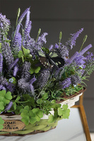 Lavendi Butterfly, lawenda w koszu z motylami