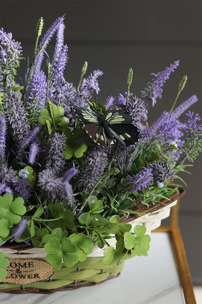 Lavendi Butterfly, lawenda w koszu z motylami