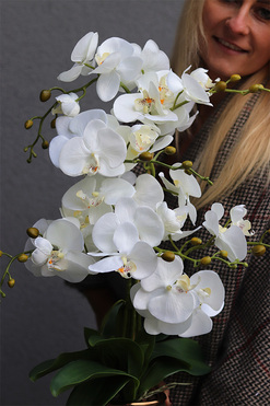 Elegance Hotel A, sztuczny storczyk w miedzianej donicy, wys.76cm