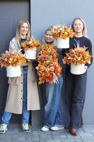 Moko Otonio, welurowy flowerbox jesienny