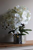 Silver Fredda, sztuczny storczyk w donicy