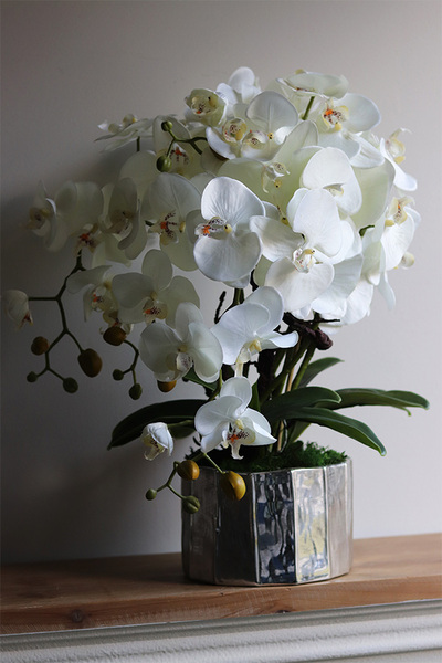 Silver Fredda, sztuczny storczyk w donicy