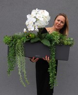 dekoracja sukulenty ze storczykiem, Andżelika Balconera, wym.64x80cm 