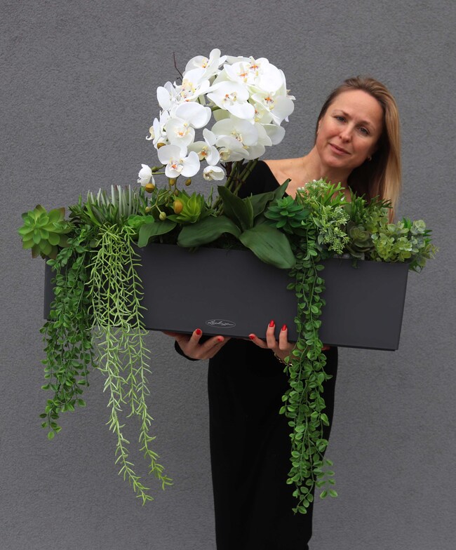 dekoracja sukulenty ze storczykiem, Andżelika Balconera, wym.64x80cm 